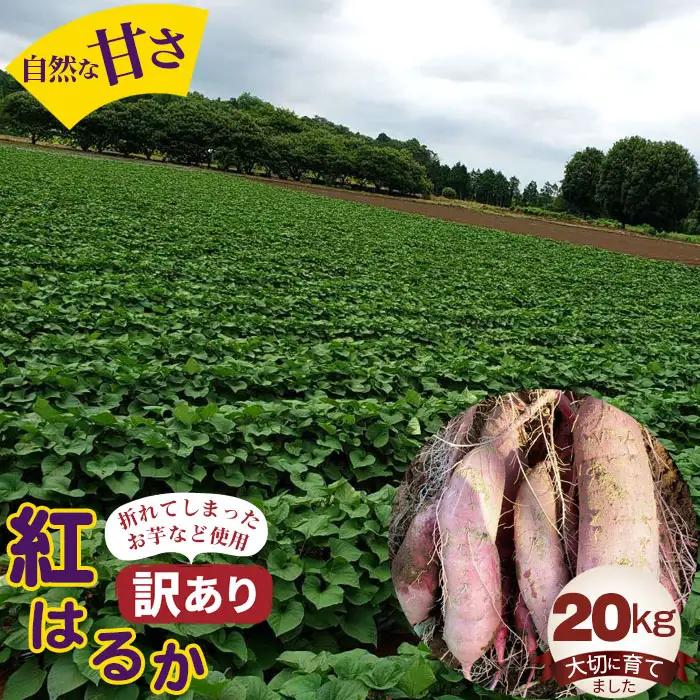 【訳あり】紅はるか20kg No.408