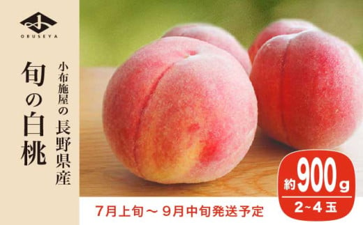 旬の白桃 約900g 2～4玉 ［小布施屋］ 長野県産 白桃 もも モモ フルーツ 果物 長野県産 信州産 クール便 冷蔵便 たまき なつき あかつき 川中島白鳳 川中島白桃など 令和8年産 【202