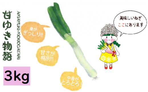 
                  甘ゆき物語3kg【野菜 やさい 食品 人気 おすすめ 】
                