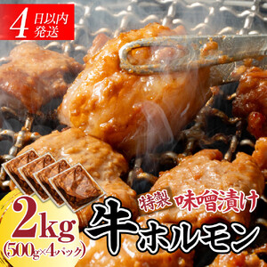 【４日以内発送】特製味噌漬け牛ホルモン大容量 2kg(500g×4)【配送不可：離島】◆もつ ホルモン 牛肉 焼肉 ビール 小腸 小分け おかず ビール つまみ 小腸 味噌 小分け パック おすすめ