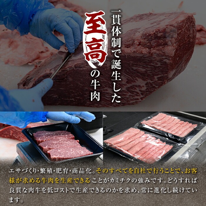 ＜数量限定！＞鹿児島県産黒毛和牛(A5等級)赤身焼肉セット 合計800g(200g×4パック) 【カミチク】A227-v02