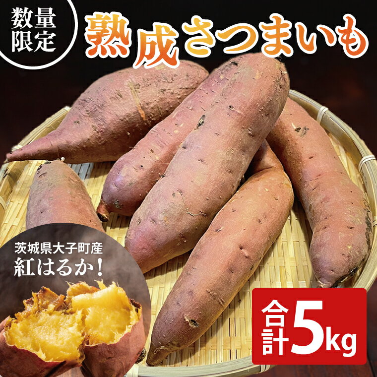 【ふるさと納税】【先行予約】【10月中旬より順次発送予定】熟成さつまいも 紅はるか 5kg｜茨城県 大子町 サツマイモ べにはるか 芋 甘い ホクホク 野菜 数量限定 5キロ 旬（CH001）