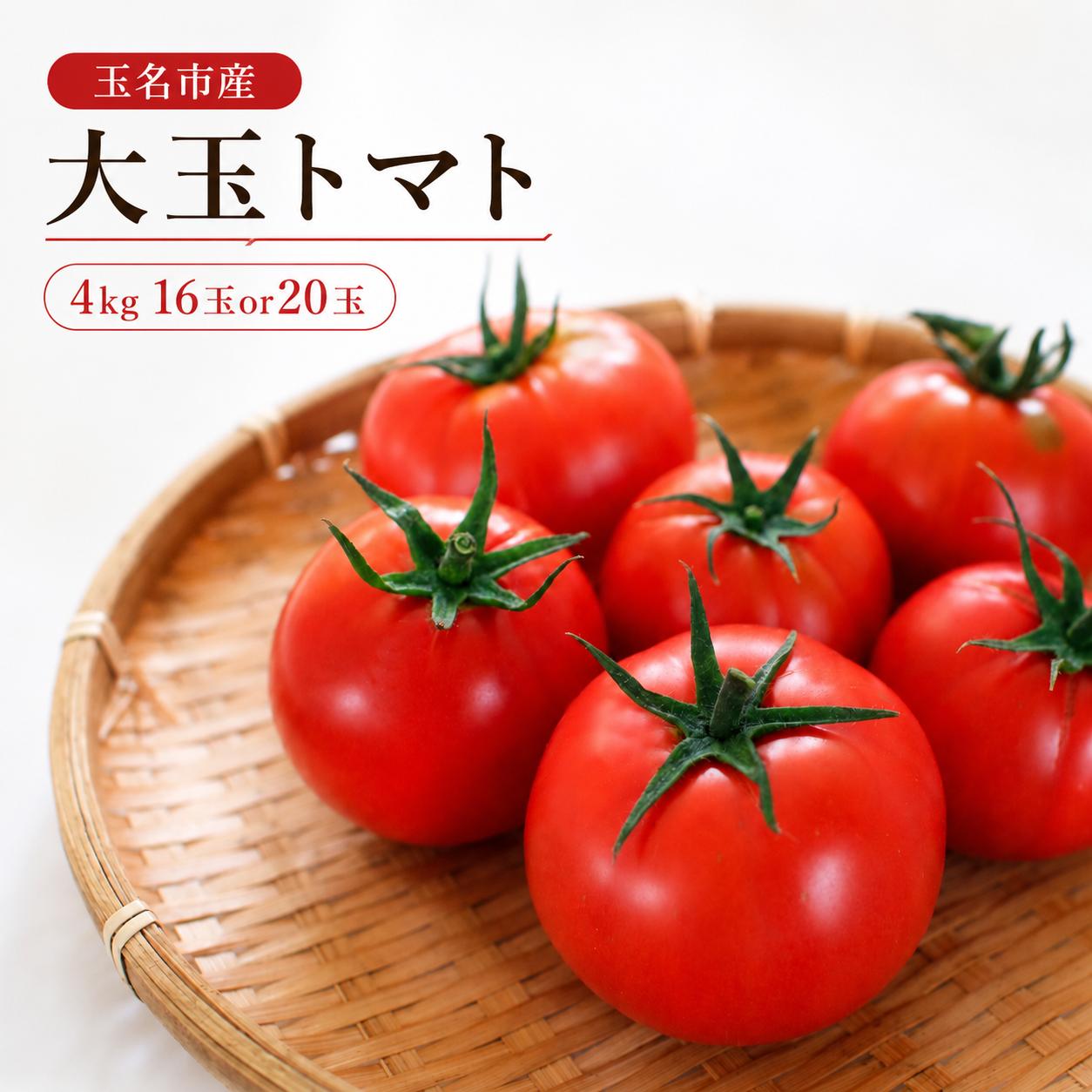 
                  玉名市産 大玉トマト 4kg（16玉or20玉） | 野菜 やさい トマト ミニトマト 特選 熊本県 玉名市
                