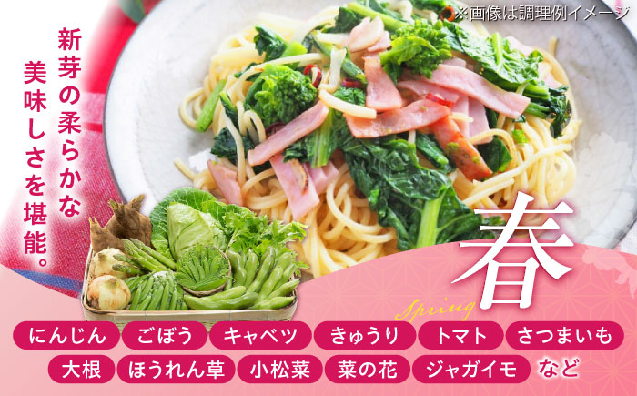 【全6回定期便】【数量限定】旬の 野菜 セット (約3kg/野菜7-8品程度) / 野菜 新鮮 旬 詰合せ セット 熊本県 菊陽町 特産品 【有限会社さんふれあ】 [BHAK025]