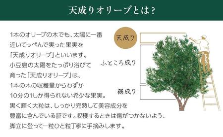 【井上誠耕園】～2025年初搾り～ 井上誠耕園産エッセンシャルオリーブオイル 30ml【化粧用】