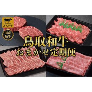 【定期便】鳥取和牛 おまかせ 定期便 12か月  TB5