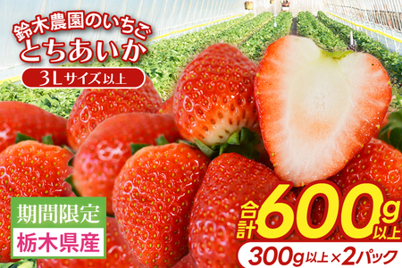 とちあいか いちご ★贈答用★ 600g 300g×2P DJ002