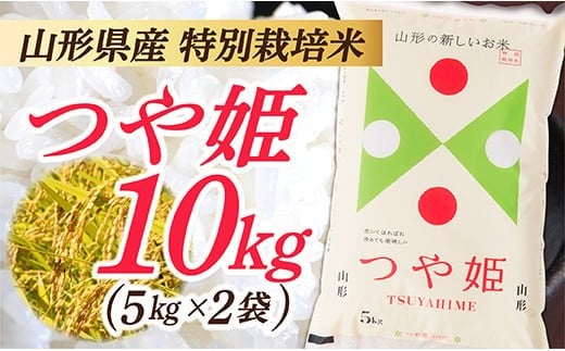 令和7年産 山形県産 特別栽培米 つや姫10kg (5㎏×2袋)