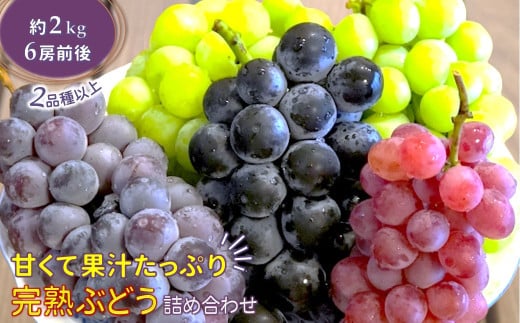 【今夏収穫分】ぶどう詰め合わせ 2kg 予約受付 シナノスマイル ハニービーナス オリンピア 巨峰 など