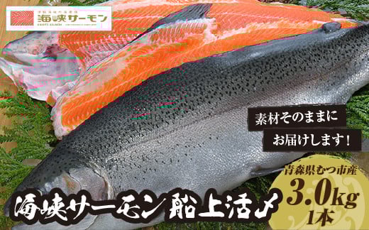 
            【期間限定発送】海峡サーモン船上活〆3.0kg1本 (冷蔵)
          