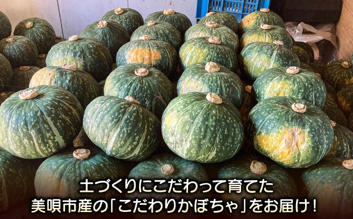 かぼちゃ 南瓜 カボチャ ぱんぷきん pumpkin パンプキン 野菜 やさい