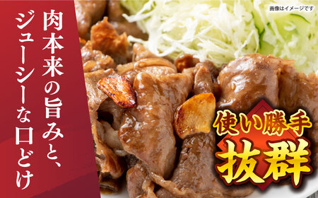 【A4～A5】長崎和牛切り落とし　500g＜株式会社MEAT PLUS＞[CFT003]