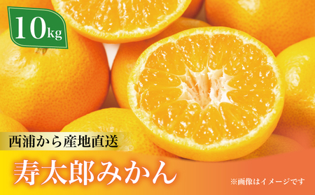 寿太郎 みかん 約10kg フルーツ 柑橘 オレンジ 果物 数量限定 国産 蜜柑