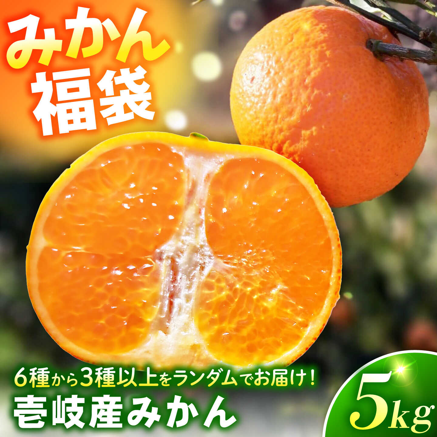 【ふるさと納税】【先行予約】壱岐産みかん 5kg 【2026年12月以降順次発送】《壱岐市》【立石農園】 果物 くだもの フルーツ デザート 旬のみかん ランダム 詰め合わせ ミカン 柑橘 せとか 麗江 温州みかん スイートスプリング はるか 津の輝き 壱岐[JHE001]