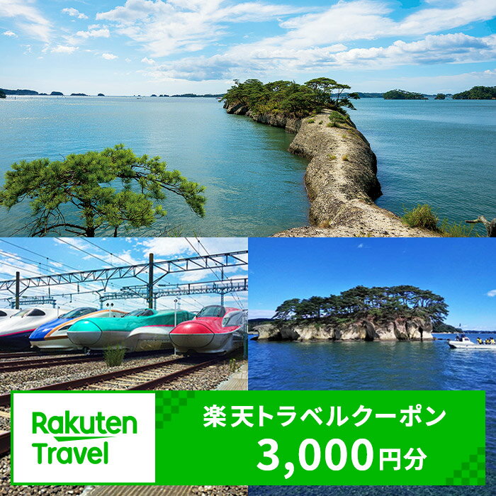【ふるさと納税】宮城県利府町の対象施設で使える楽天トラベルクーポン 寄付額10,000円