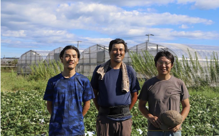 定期便 土佐の太陽をいっぱいに浴びた旬の野菜生姜約200gのセット「小」 (12回配送)【土佐野菜】 [ATBA013]