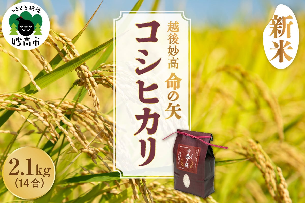
            【先行予約】令和7年産 越後妙高命の矢 コシヒカリ 2.1kg
          