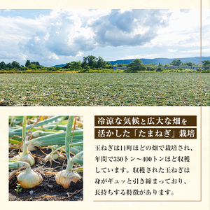 《先行予約受付中！》＜北海道士別市たよろ産＞甘みと旨味が詰まった 玉ねぎ ( 5kg ) 【2026年10月中旬以降発送予定】たまねぎ 玉葱 野菜 北海道産 士別市産 料理 【悠farm後藤】【A71