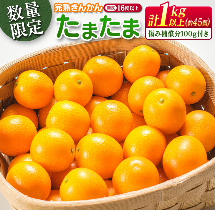 【ふるさと納税】糖度16度以上 数量限定 完熟 きんかん たまたま 計1kg以上 傷み補償分入り 宮崎 期間限定 フルーツ 果物 くだもの ブランド 金柑 柑橘 令和8年発送 化粧箱入り 国産 食品 人気 おすすめ ギフト 贈り物 贈答 ご褒美 お祝い おすそ分け 日南市 送料無料