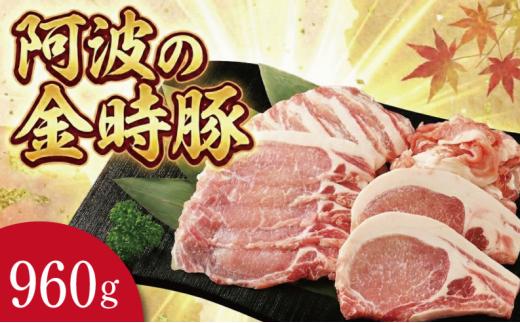 豚肉 セット 4種 960g 金時豚 阿波の金時豚 豚ロース 豚バラ 焼肉 焼き肉 切り落とし とんかつ しゃぶしゃぶ 冷凍 小分け 国産 ブランド 生姜焼き 野菜炒め 豚汁 豚丼 徳島 阿波
