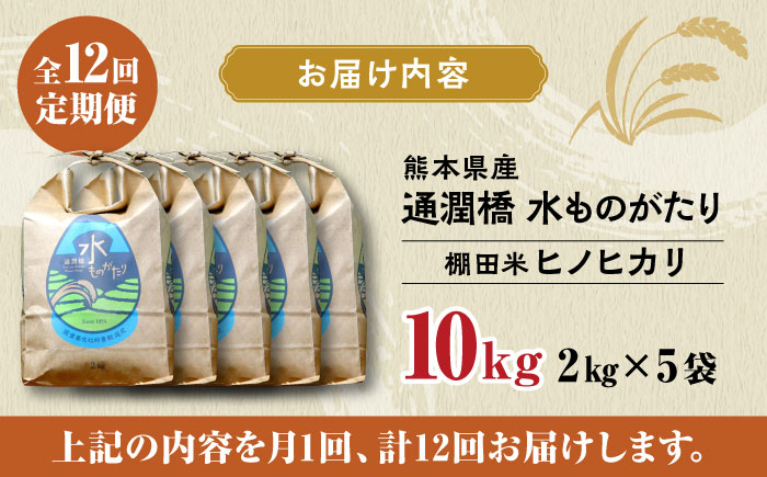 【全12回定期便】令和5年産  通潤橋 水ものがたり 棚田米 10kg (2kg×5袋) お米 白糸台地 熊本産 特別栽培米 定期便 【一般社団法人 山都町観光協会】[YAB019]