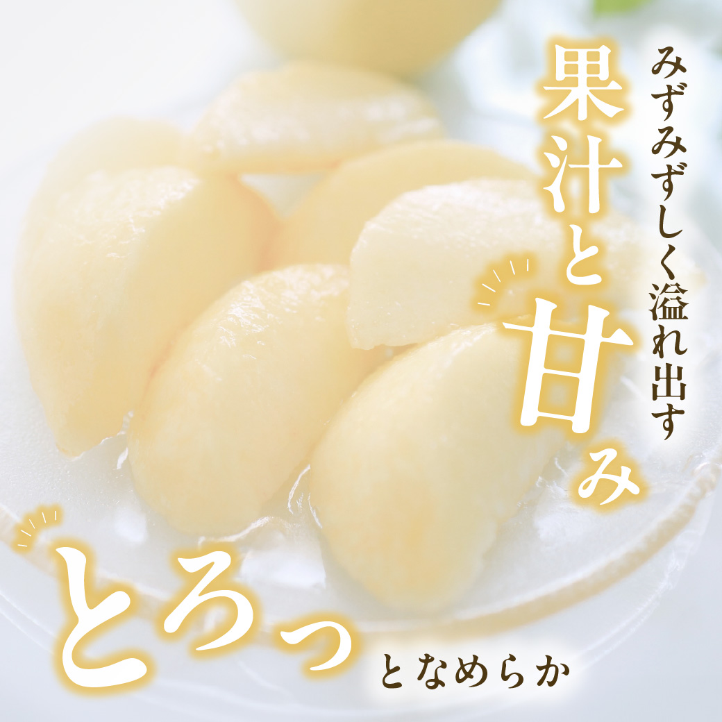 【2027年発送分・先行予約開始！】岡山県産 白桃とニューピオーネのセット（令和9年7月以降発送）【先行受付 先行予約 白桃 ニューピオーネ セット 詰合せ フルーツ 果物 もも 桃 モモ 葡萄 ぶど