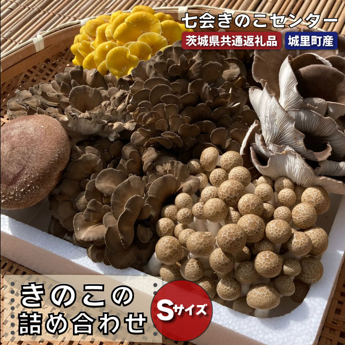 【ふるさと納税】きのこ詰め合わせ　Sサイズ（茨城県共通返礼品／城里町産） / 茨城県 利根町 きのこ キノコ 舞茸 椎茸 あわび茸 たもぎ茸 はなびら茸