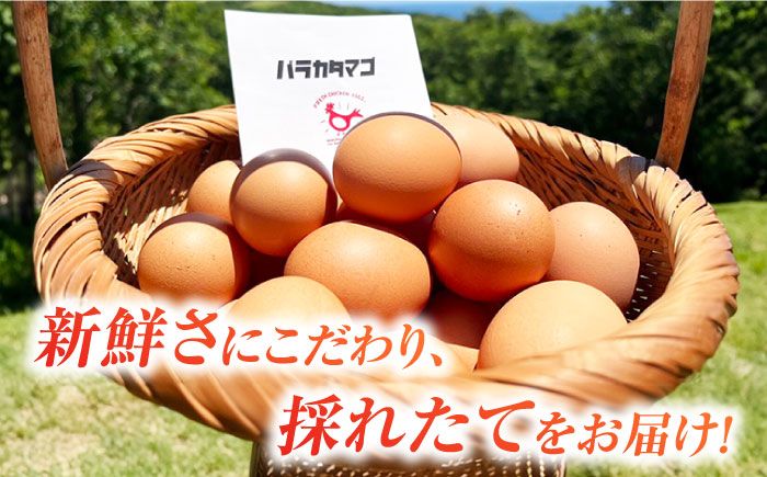 【全10回定期便】【ギフトBOX】バラカタマゴ 20個入 M～Lサイズ 卵 玉子 国産 五島市 / 五島列島大石養鶏場 [PFQ056]