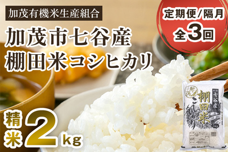 【令和7年産新米先行予約】【定期便3回隔月お届け】 七谷産 棚田米コシヒカリ 精米2kg《10月中旬から順次出荷》 白米