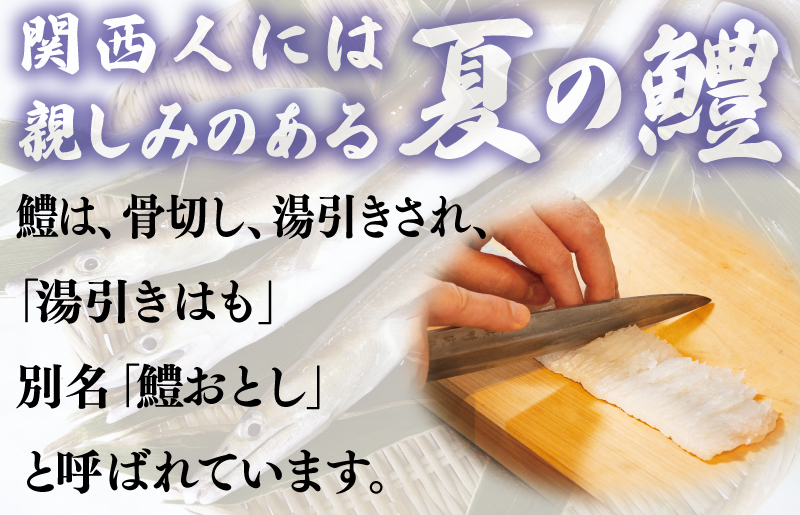 鱧おとし 350g（からし酢みそ、梅肉付） G1863