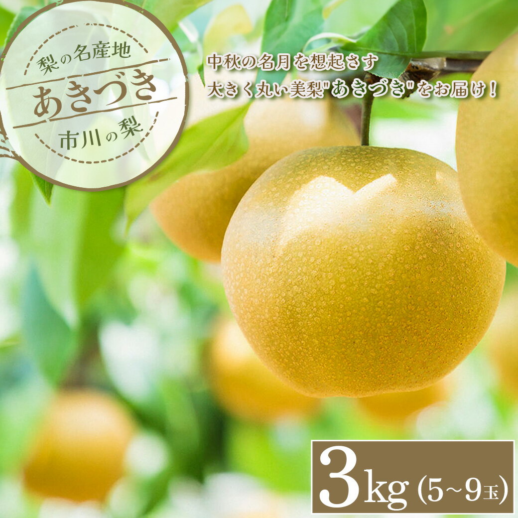 【ふるさと納税】市川の梨　あきづき　3kg（5～9玉）　【12203-0218】