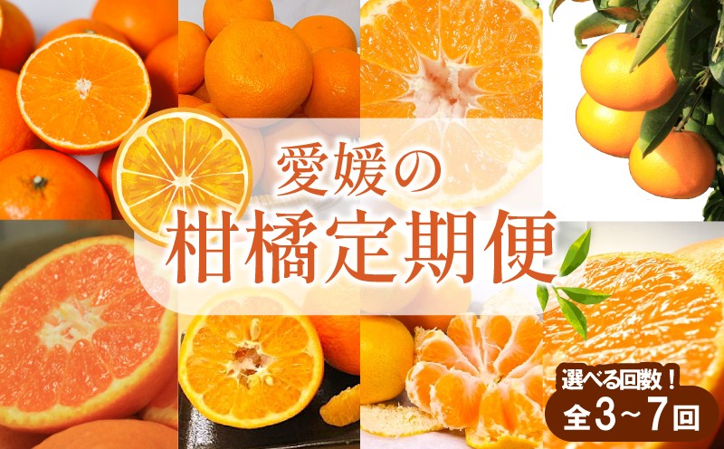 
            【先行予約】【全3～7回】 柑橘定期便｜  興居島みかん あいか はれひめ いよかん温州 温州みかん 愛果 愛果28号 紅まどんな と同品種 伊予柑 せとか 神ポン カラマンダリン 不知火 柑橘 定期便 取り寄せ 甘いみかん ギフト 愛媛県産 ミカン みかん mikan 蜜柑 フルーツ 果物 くだもの お取り寄せ 産地直送 数量限定 人気 おすすめ 送料無料 贈答 ギフト 愛媛県 松山市
          