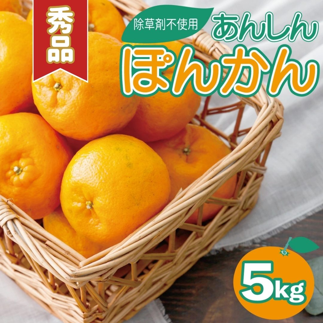 【ふるさと納税】 ＜先行予約＞秀品ポンカン 5kg 国産 東洋町産 甘酸っぱい 甘い 果汁 ジューシー 高知県 東洋町 四国 お取り寄せ フルーツ 蜜柑 ミカン 果物 送料無料 TS-01