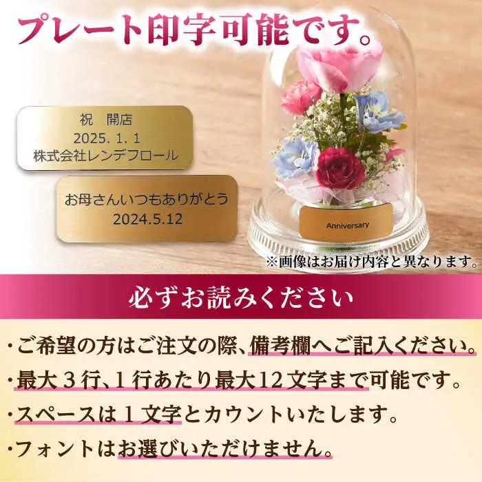 【プレート対応可】ボトルフラワー G-X / 花 ドライフラワー[AFAW014]