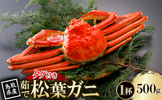 【先行予約】鳥取県産 タグ付き 茹 松葉がに 500g×1杯(中村商店)2027年1月末より順次発送【配送不可地域：離島・北海道・沖縄県・東北・信越、北陸】