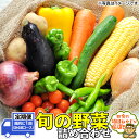 【ふるさと納税】田舎の頑固おやじ厳選！【定期便】旬の野菜詰め合わせセット 隔月に1回(計6回コース)