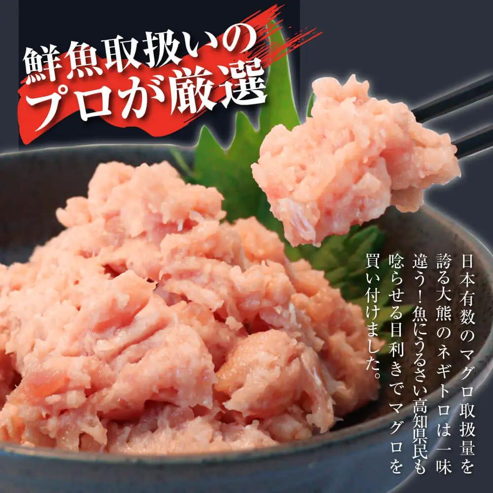 【訳あり】本鮪端材切り落とし・ネギトロセット 本鮪切落し100g×3・ネギトロ70g×2  高知県土佐市 【株式会社大熊】 [BQAA030]