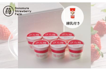 74-32　園村苺園　熊本県宇土産 完熟冷凍いちご「さら苺」６カップ　練乳付き