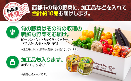 農家直送新鮮野菜と柚子こしょう詰め合わせセット＜1-48＞★