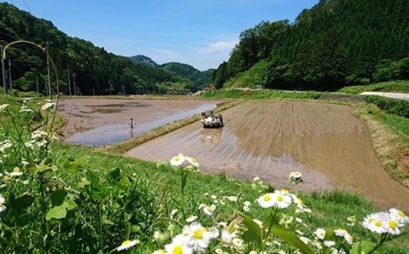 【定期便】【令和5年産】浜田市金城町産コシヒカリ「おぐに米」10kg定期便（6回コース） 定期便 10キロ 6回 米 お米 こしひかり 白米 特産品 お取り寄せ 精米 小分け 【862】