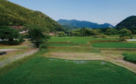 米 お米 国産  数量限定 飛雪(ひせつ)米(結びの神) 5kg×2袋 10kg【2023年9月中旬頃から順次発送】【hsj003】