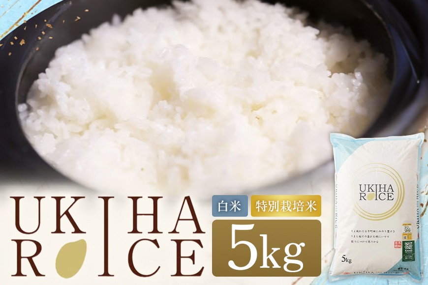
                  【ふるさと納税】米 白米 精米 UKIHA RICE 5kg 特別栽培米 ヒノヒカリ 令和7年産 こめ ご飯 コメ ごはん 送料無料 国産 国産米 福岡 返礼品 お弁当 おにぎり 家庭用 ギフト プレゼント 仕送り rice kome お取り寄せ うきは市 株式会社みずほファーム
                