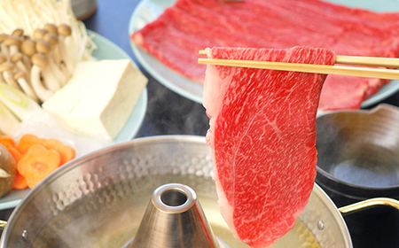 飛騨牛 もも300g・ロース300g しゃぶしゃぶ用 計600g 飛騨牛 A5等級 和牛 黒毛和牛 F4N-2664