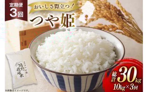 米 定期便 3回 令和7年 つや姫 10kg 3回 計30kg [渡部ファーム 山形県 高畠町 tk06ays810039] お米 白米 精米 ごはん ご飯 ブランド米