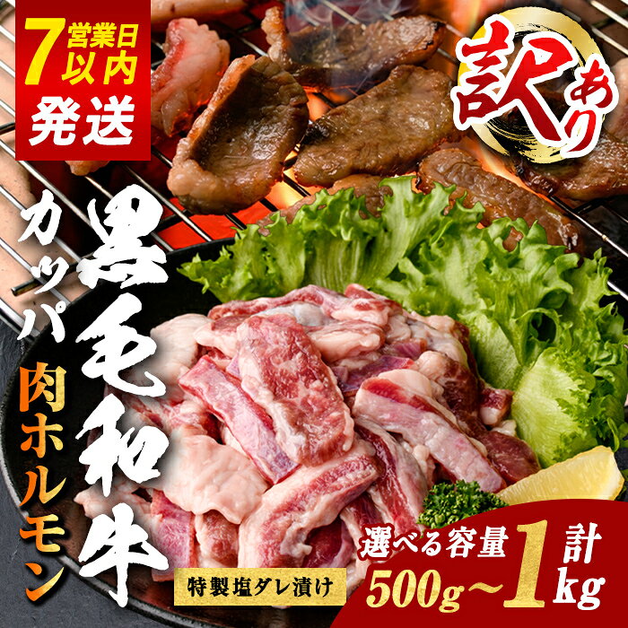 【ふるさと納税】＜ 訳あり＞ 国産 黒毛和牛 カッパ ( 肉ホルモン ) 特製塩だれ漬け ＜ 選べる 容量＞ 計500g or 計1kg ｜ 牛肉 肉 国産 黒毛和牛 和牛 カッパ 肉ホルモン 特製 塩だれ 真空 瞬間凍結 冷凍 焼肉 焼き肉 バーベキュー すぐ 届く すぐ届く スピード発送