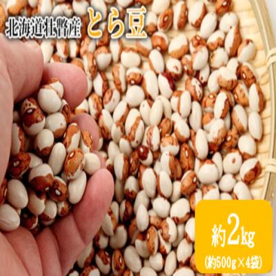 【ふるさと納税】〈2025年11月中旬よりお届け〉北海道壮瞥産　とら豆　約2kg（約500g×4袋）【 ふるさと納税 人気 おすすめ ランキング 北海道 壮瞥 小豆 あずき 豆 あずき茶 赤飯 贈り物 贈物 贈答 ギフト 大容量 詰合せ セット 北海道 壮瞥町 送料無料】 SBTA039