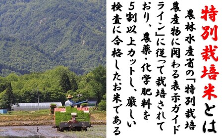 山形県小国町産 つや姫15kg（5kg×3袋)