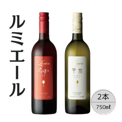 ふるさと納税 笛吹市 ルミエール　甲州シュールリー・GABU　計2本セット 167-119