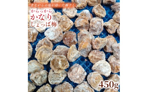 【2026年6月以降発送予定】 昔ながらの塩が効いた梅干し からっからかなりしょっぱ梅（450g） ｜梅干し 梅干 無添加 無着色 自家栽培 国産 みなべ産 手作り こだわり 家庭用 ktok008
