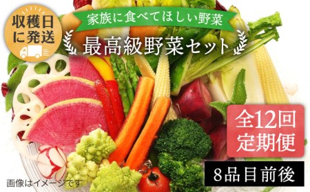 【全12回定期便】【栽培期間中農薬・化学肥料不使用】こだわり 野菜 セット （8品前後） 《糸島》【オーガニックナガミツファーム】 [AGE018] 野菜セット 野菜 やさい サラダ 詰め合わせ トマト とまと